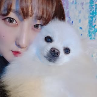 순자